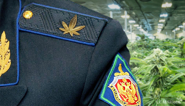 Майор выращивал коноплю