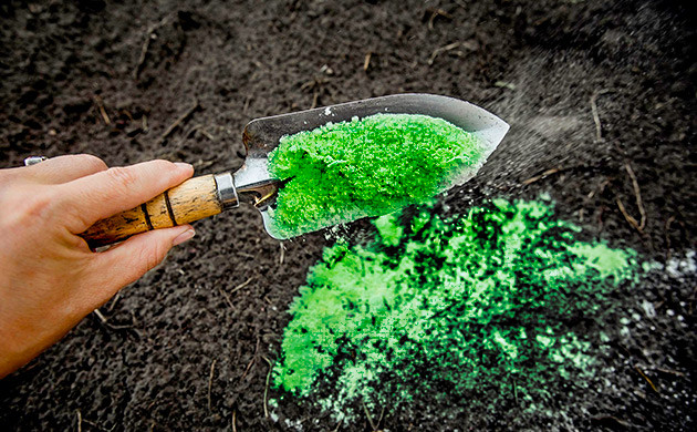 Внесение удобрения поверх почвы