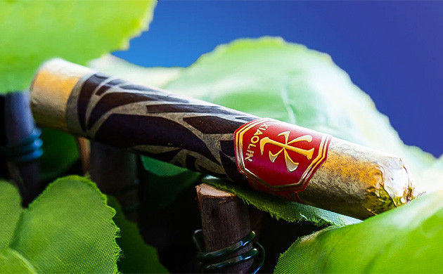 Что такое каннагары Свишер Блант