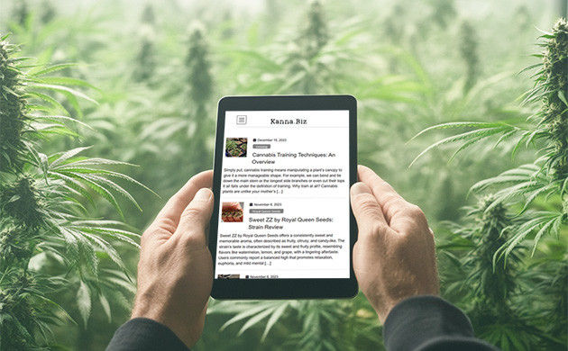 Kanna.biz: информация и исследования