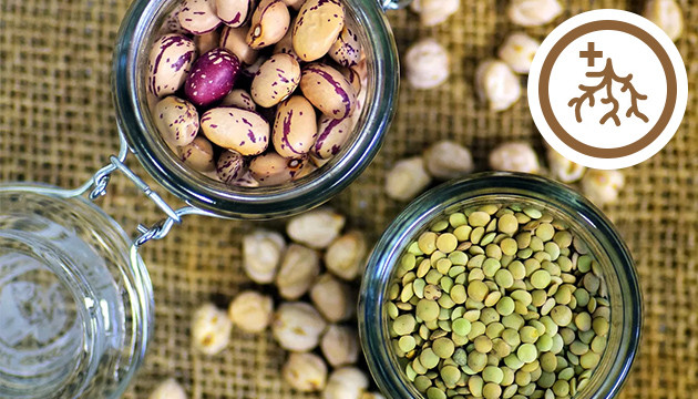 Чечевица и фасоль