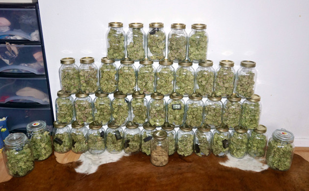 Собранный урожай Урожай в банках