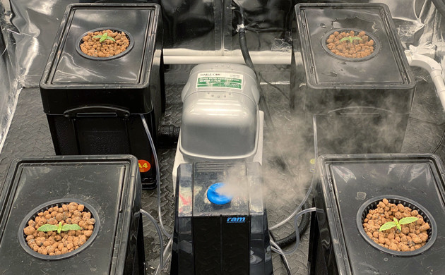 Гидропонная установка 8-сантиметровые ростки в гидропонной установке