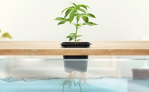 Горшок помещенный в резервуар с питанием