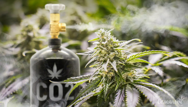 Углекислый газ для конопли