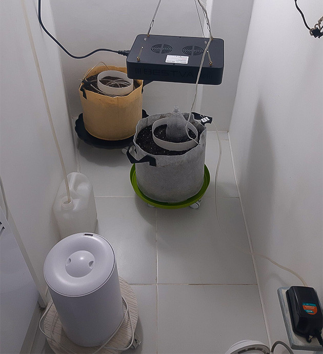 Световой режим для Bruce Banner Auto