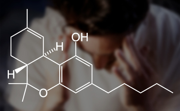 ТГК и головная боль: разрывая мифы Медицинский каннабис и мигрени: что говорит наука?