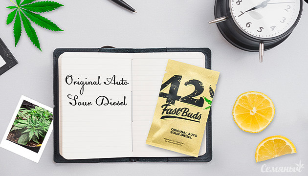 Гроурепорт сорта Original Auto Sour Diesel