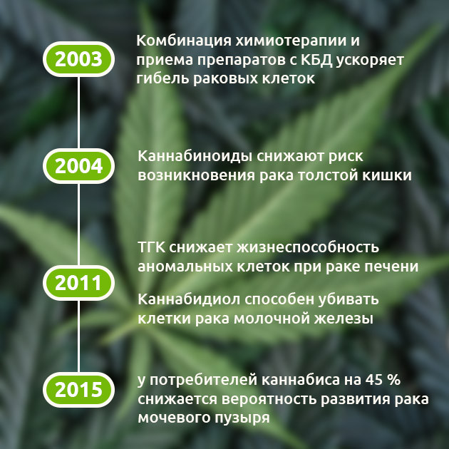 Исследования 2003-2015 годов о помощи конопли в лечении рака