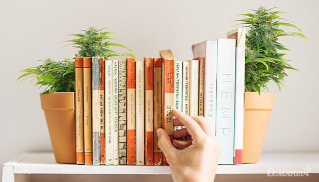 Полка с книгами о конопле