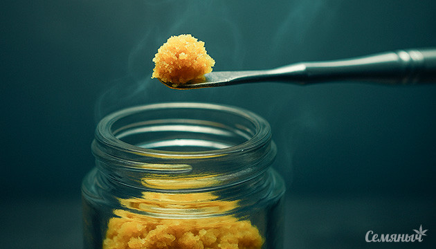 Пузырьковый хэш: чистый экстракт каннабиса