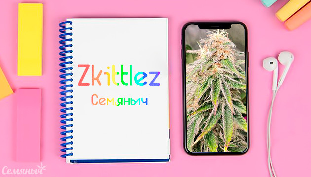 Гроурепорт сорта Zkittlez от сидбанка Семяныч