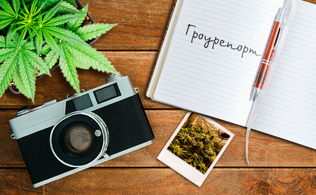 Гроурепорты на Дзаги