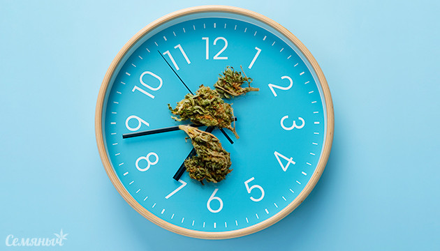Влияние времени хранения на каннабис