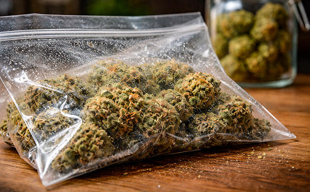 Хранение каннабиса в обычном пластиковом пакете