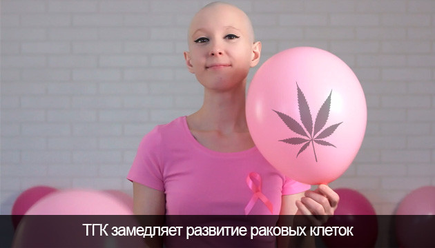 ТГК замедляет развитие раковых клеток