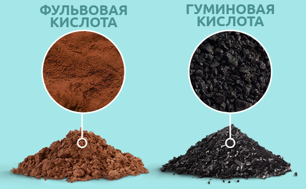 Гуминовые и фульвовые кислоты