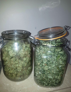 Банки с сухими шишками