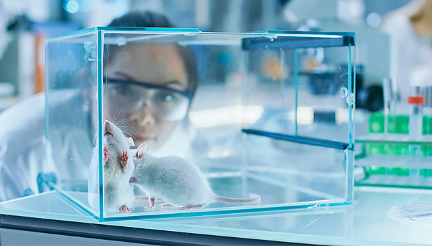 ТГК стимулирует похудение