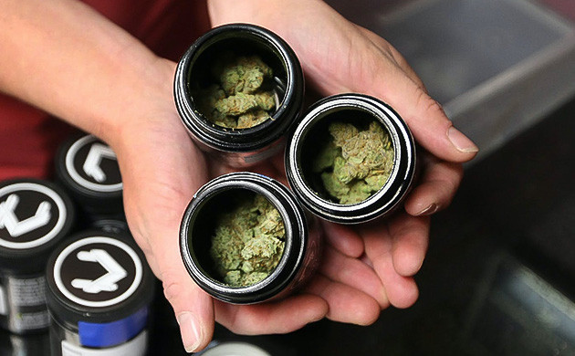 Как сохранить качество конопли