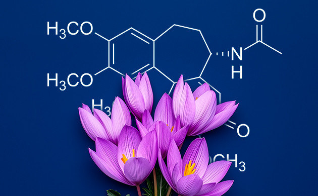 Колхицин: ключ к полиплоидии