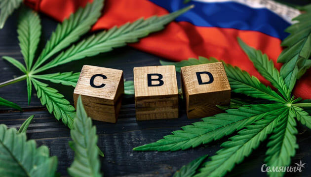 Каннабис в истории медицины и современном законодательстве