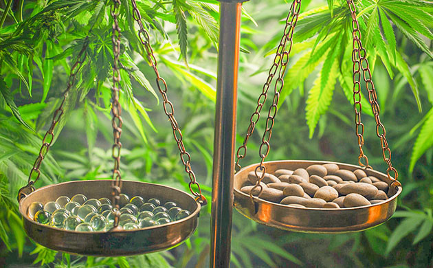 Стоимость и экономия субстрата