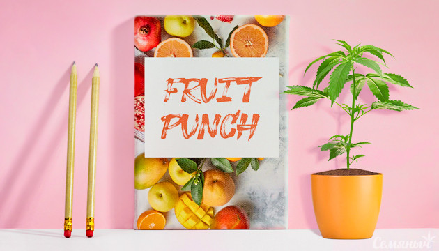 Выращивание клонов Fruit Punch