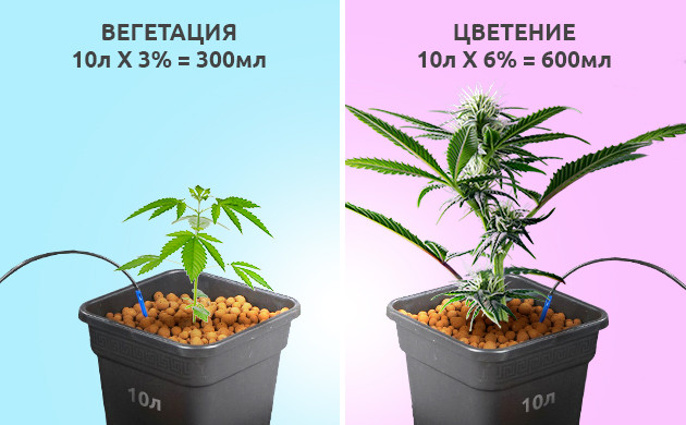 Расчёт полива для конопли