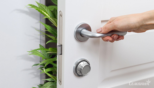 Уровень безопасности