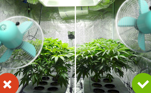 Направление обдува вентилятора в боксе