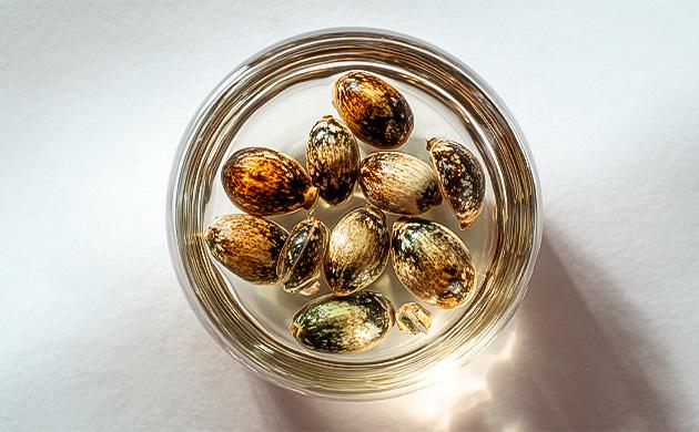 Обработка семян мягким раствором Химическая скарификация