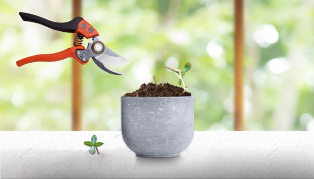 Техники увеличения урожая