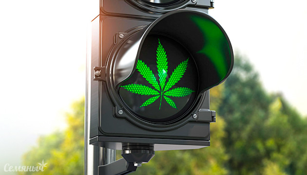 Где легализована марихуана