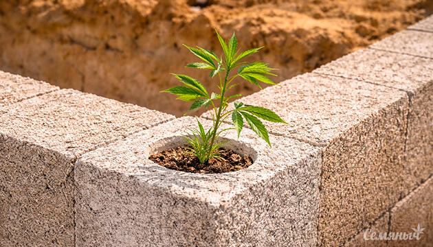 Костробетон – бетон из конопли