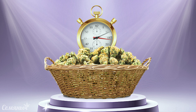 Быстрые и урожайные