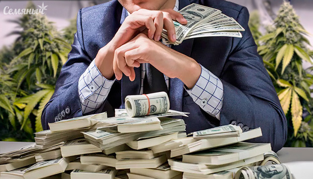 Размер зарплаты в индустрии каннабиса Высокооплачиваемые должности и каннабис
