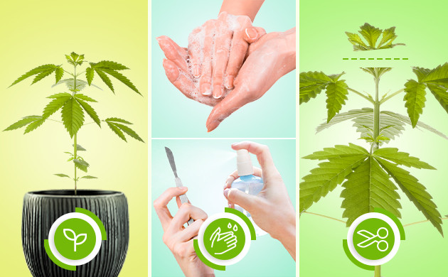 Выполнение фимминга