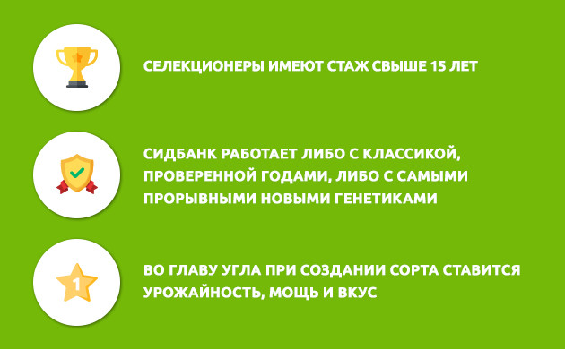 Информация по Blimburn Seeds