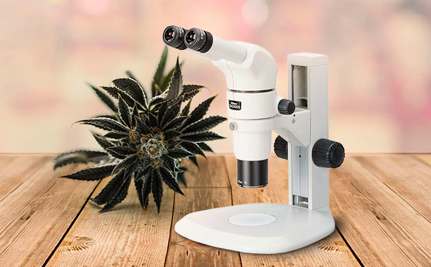 Соединенный стереомикроскоп для конопли