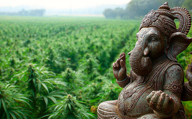 Конопля в индийских религиозных ритуалах