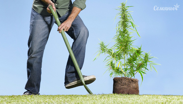 Тест аутдор