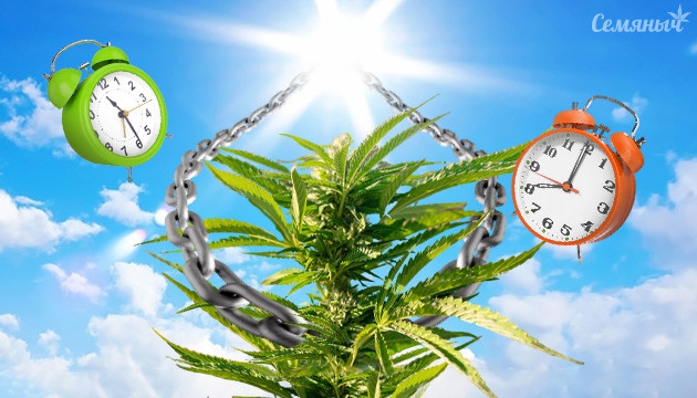 Световой режим для фотика