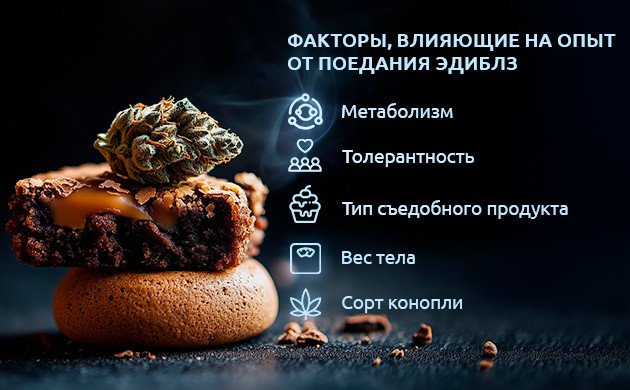 Влияние разных факторов на эффекты от съедобных канна-продуктов Факторы, влияющие на опыт от поедания эдиблз
