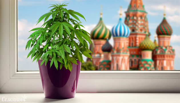 Марихуана в Москве