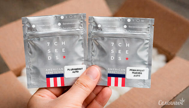 2 новинки от 7CH American