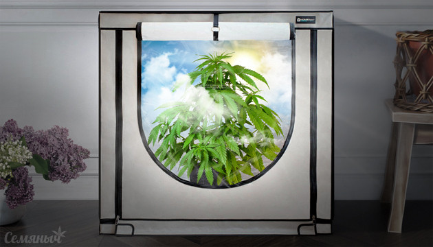 Микроклимат внутри гроубокса