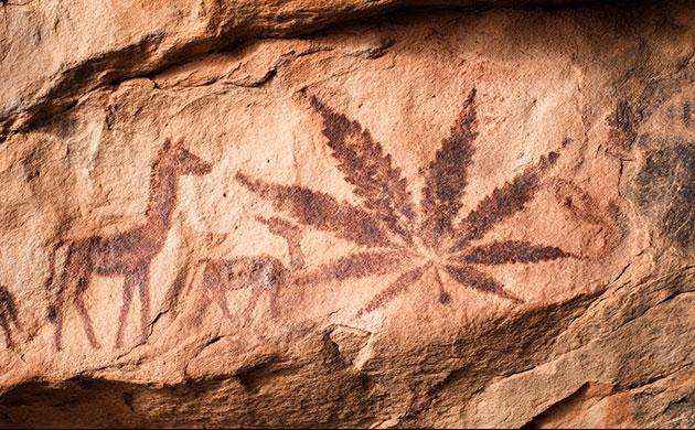 Каннабис – одно из древнейших растений