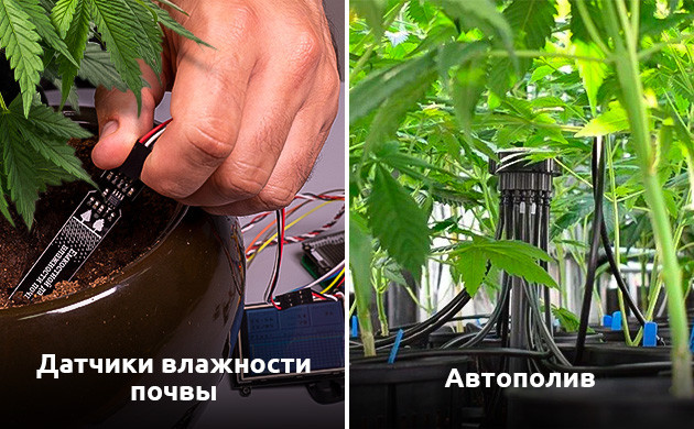 Автополив для Crop Steering