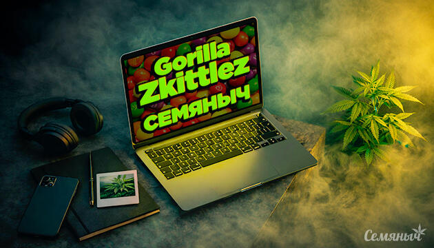 Гроурепорт сорта Gorilla Zkittlez от сидбанка «Семяныч»